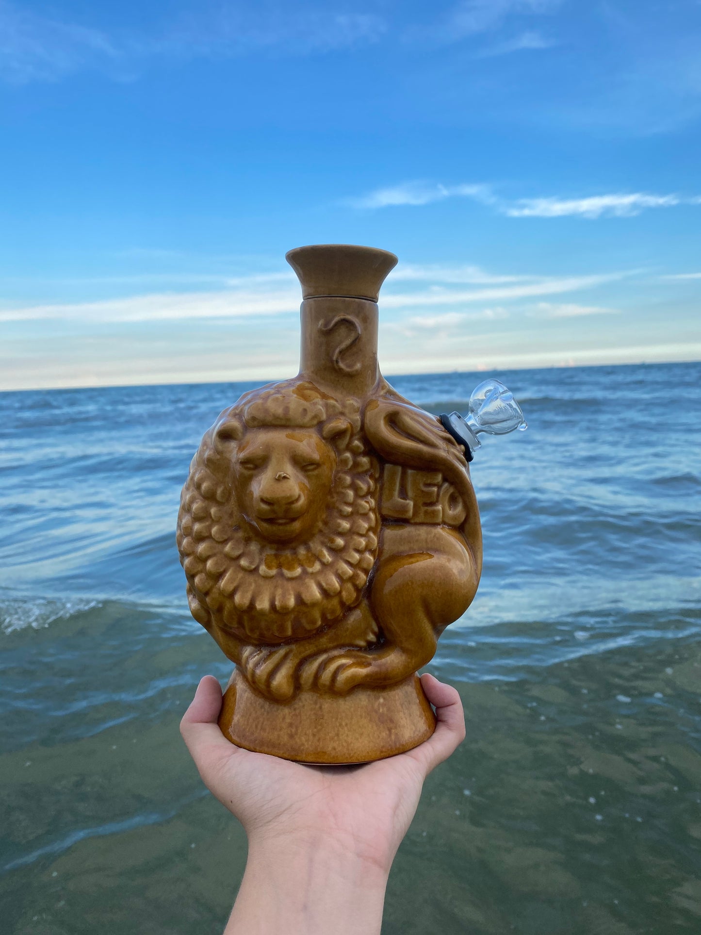 Aquarius/Leo