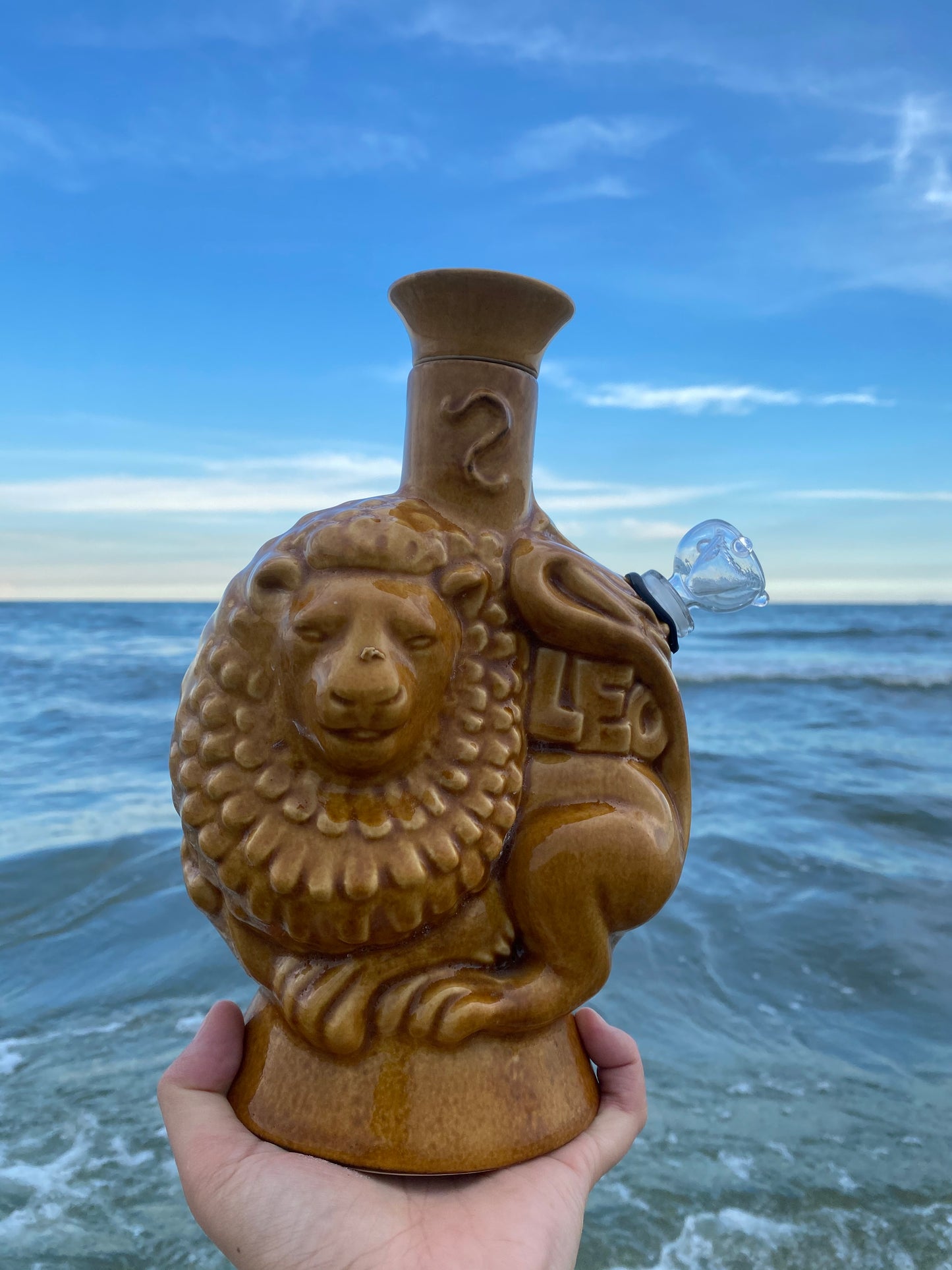 Aquarius/Leo