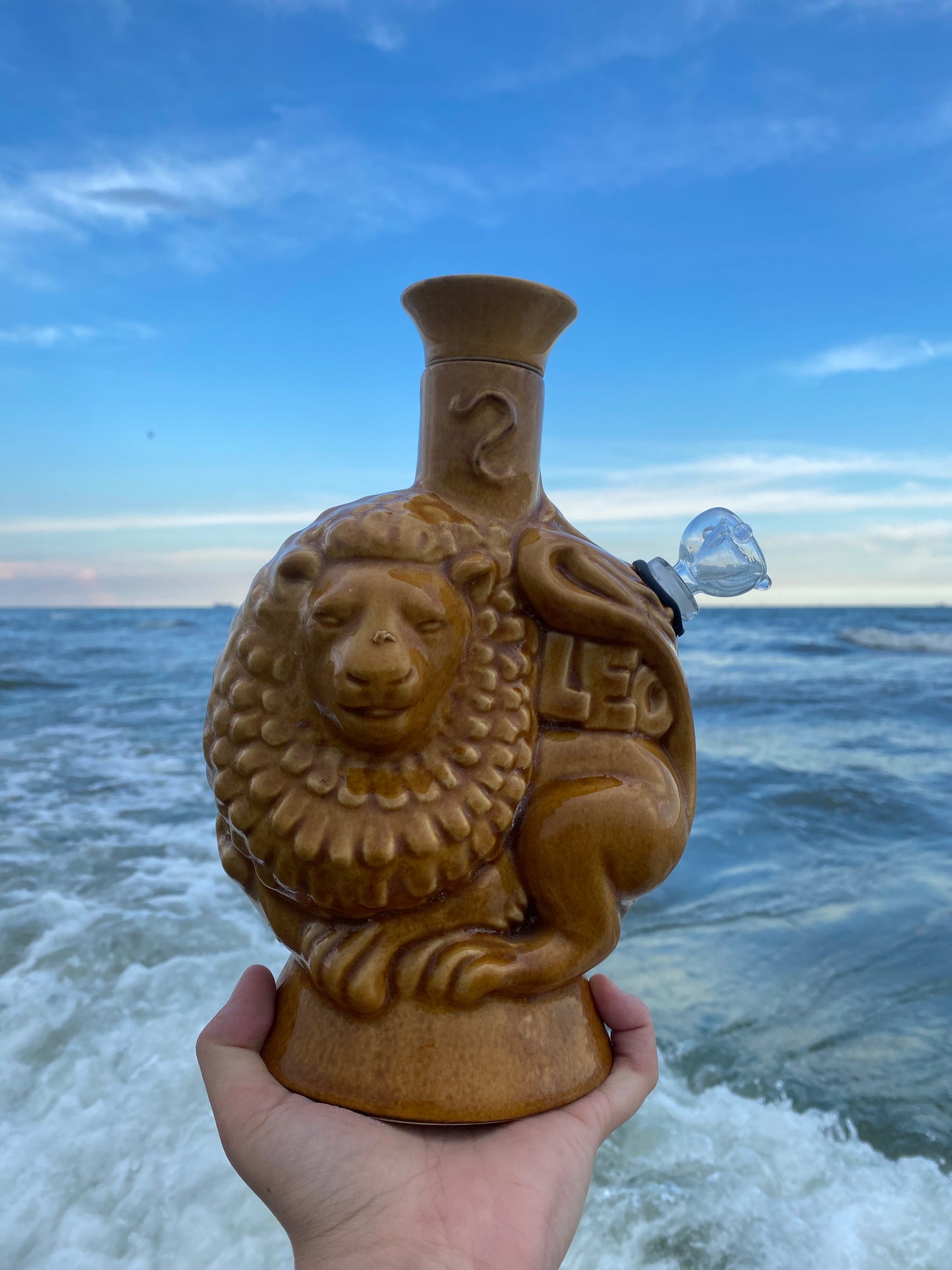 Aquarius/Leo