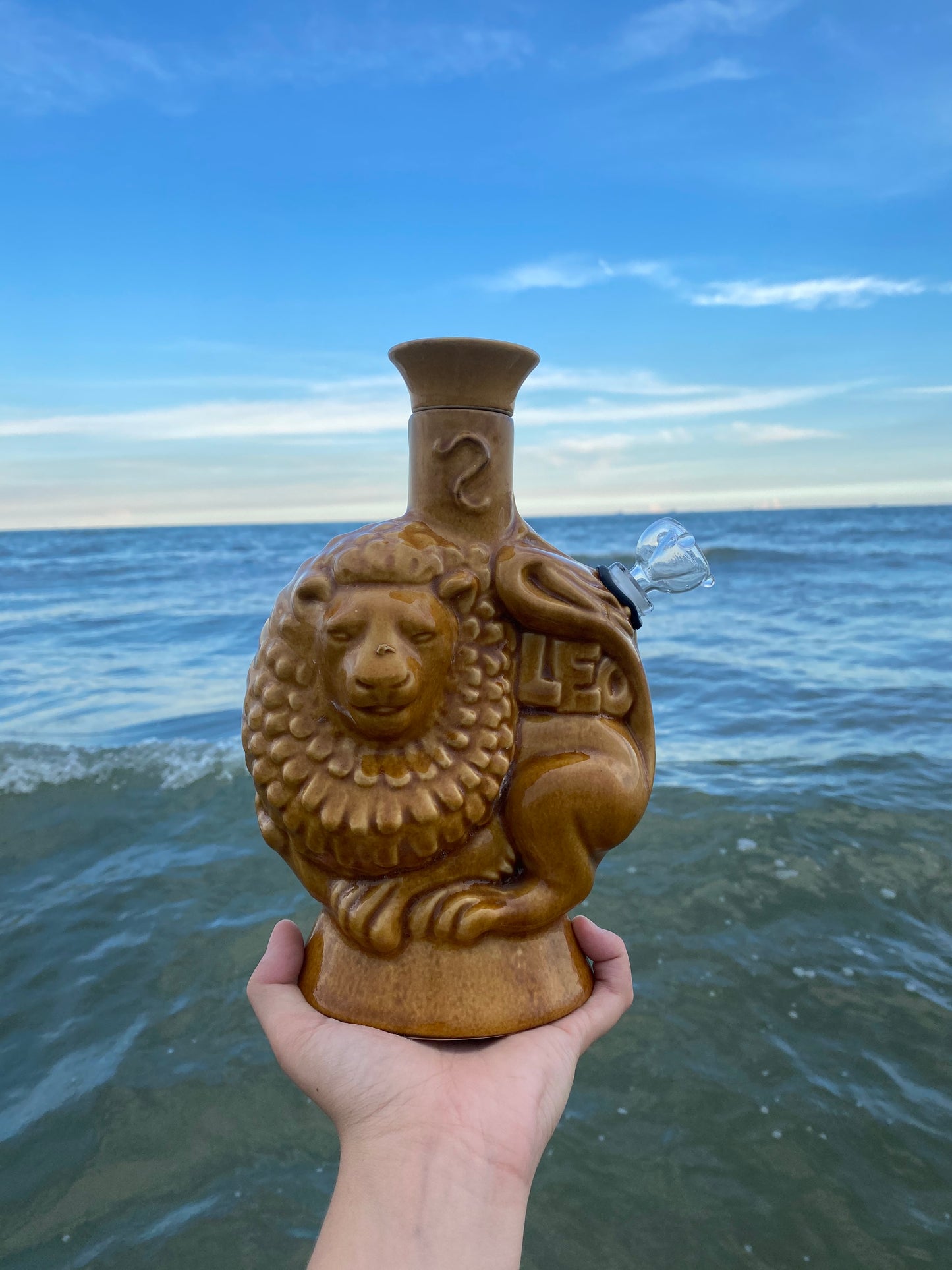 Aquarius/Leo