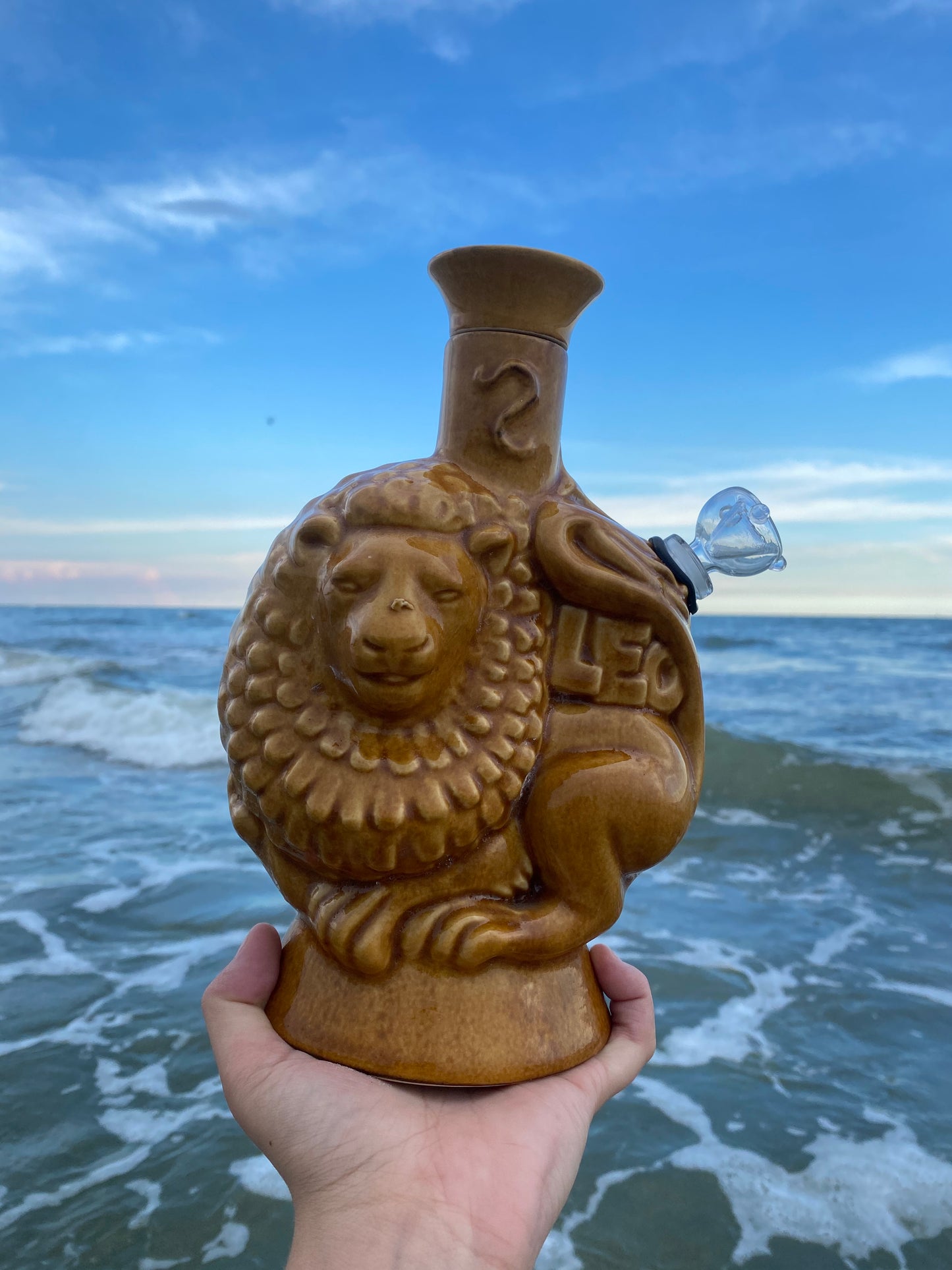 Aquarius/Leo