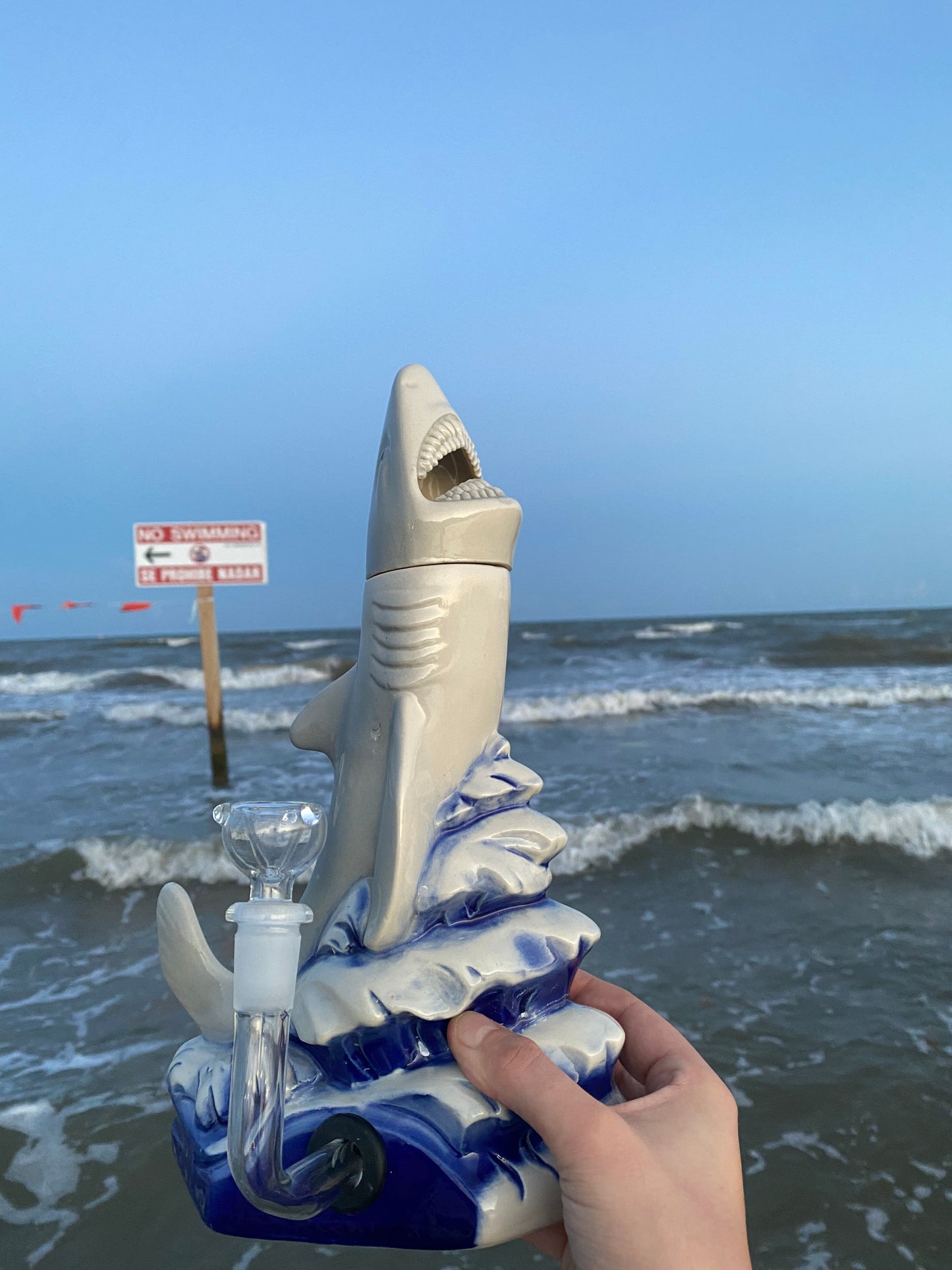 Sharky