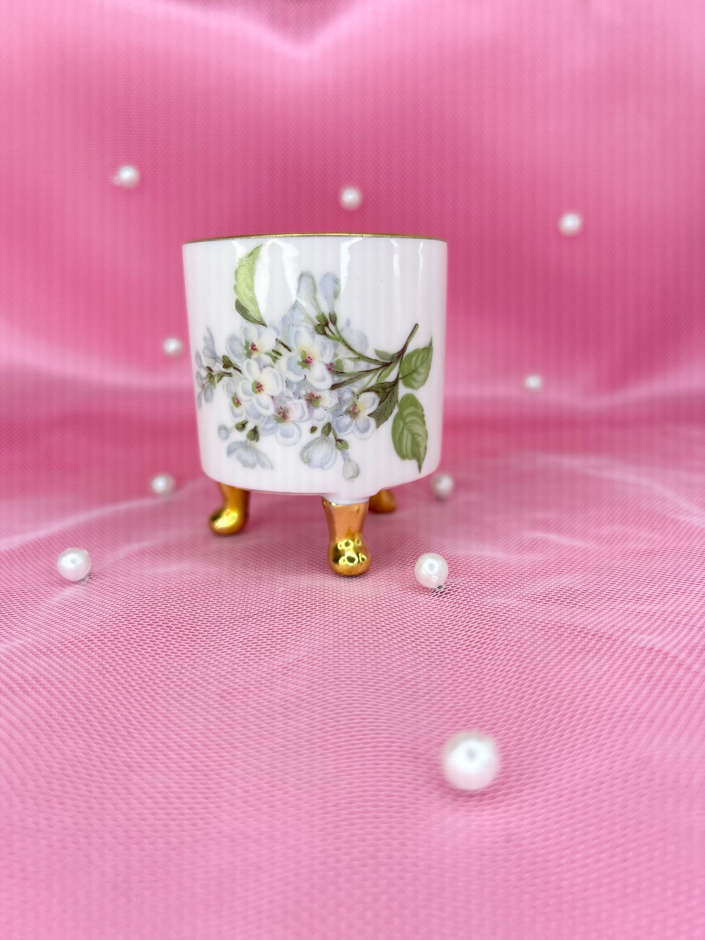 Antoinette